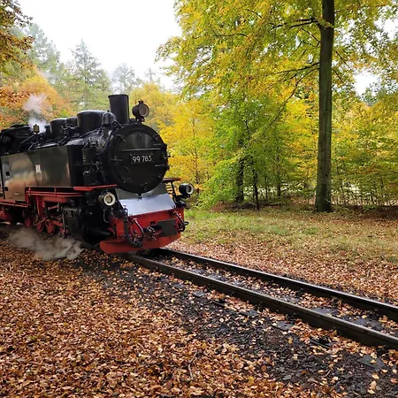 Ankerplatz Wiek Mit Eigener Sauna Und Fahrradgarage Inkl Waeschepaket * Wiek auf Rügen